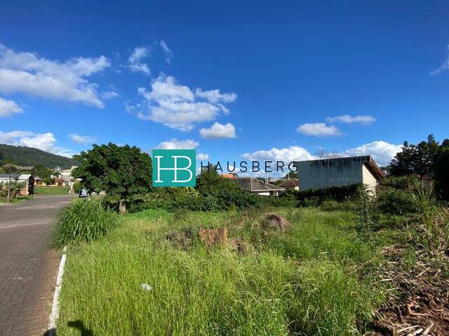 #552 - Terreno para Venda em Morro Reuter - RS - 3