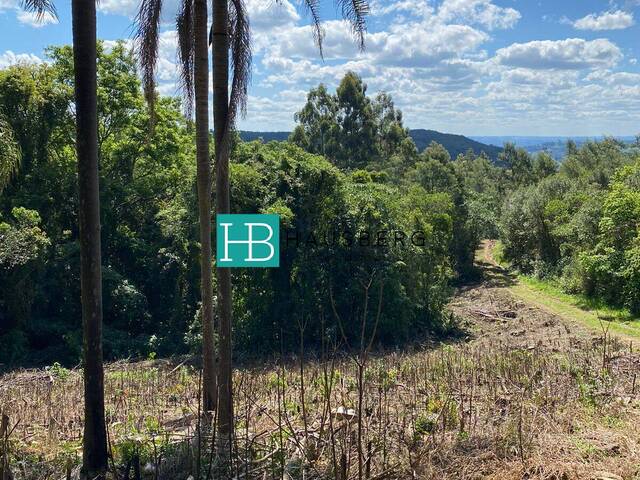 #553 - Chácara para Venda em Morro Reuter - RS - 1
