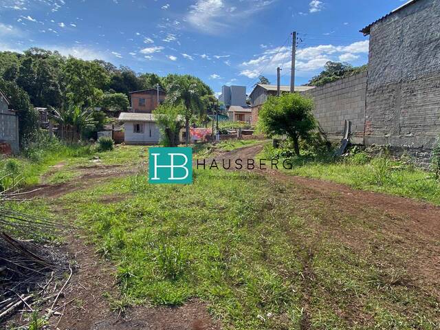 #558 - Terreno para Venda em Morro Reuter - RS - 1