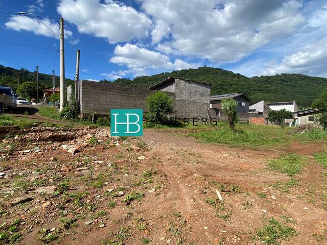 #558 - Terreno para Venda em Morro Reuter - RS - 3