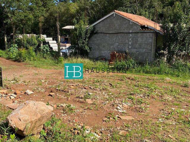 Terreno para Venda em Morro Reuter - 4