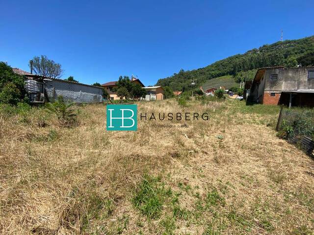 #340 - Terreno para Venda em Morro Reuter - RS - 2