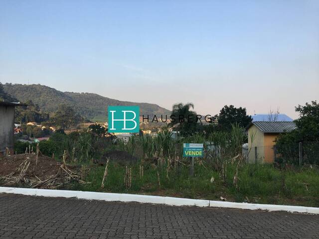 Terreno para Venda em Morro Reuter - 4