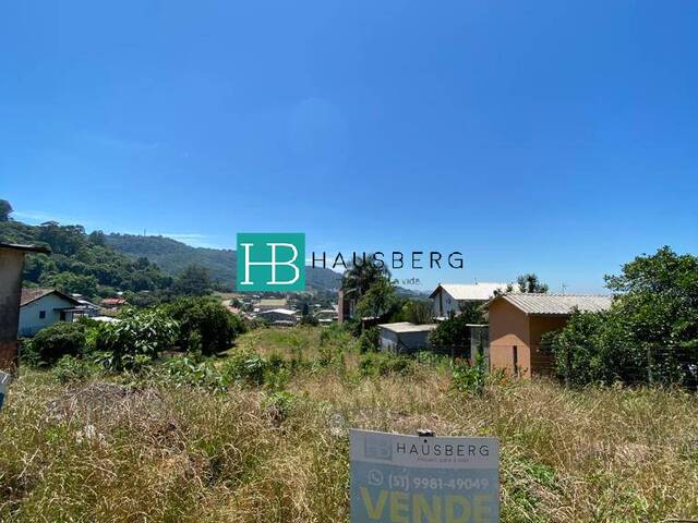 #340 - Terreno para Venda em Morro Reuter - RS - 3
