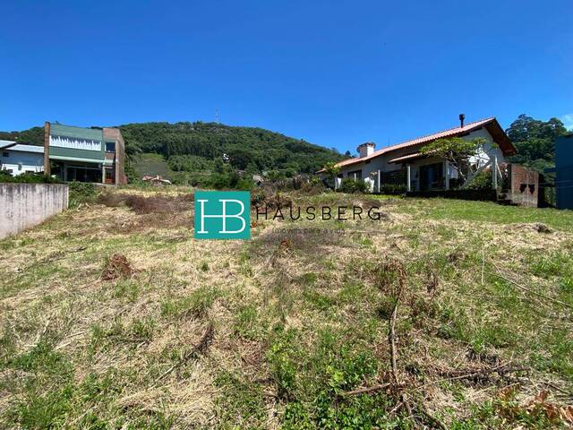 Terreno para Venda em Morro Reuter - 5
