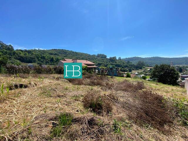 #342 - Terreno para Venda em Morro Reuter - RS - 2