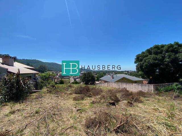 #342 - Terreno para Venda em Morro Reuter - RS - 3