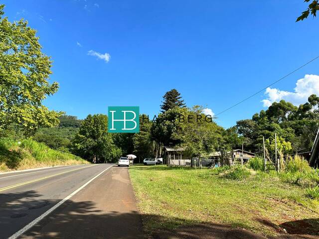 #562 - Terreno para Venda em Morro Reuter - RS - 2