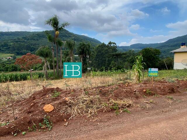Terreno para Venda em Morro Reuter - 5