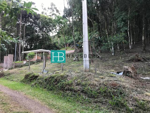 #566 - Área para Venda em Morro Reuter - RS - 3