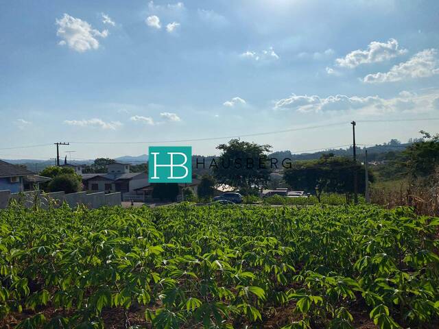 Venda em Bela Vista - Dois Irmãos