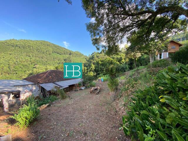 Chácara para Venda em Morro Reuter - 4
