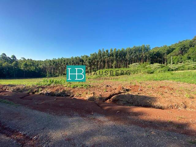 Terreno para Venda em Morro Reuter - 5