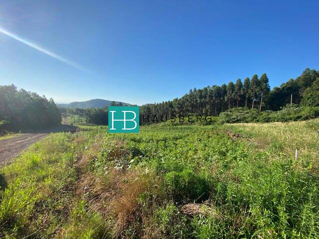 #588 - Terreno para Venda em Morro Reuter - RS - 3