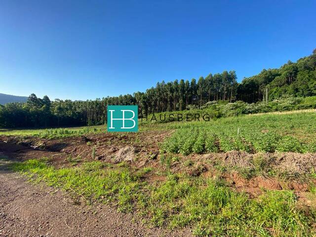 #588 - Terreno para Venda em Morro Reuter - RS - 1