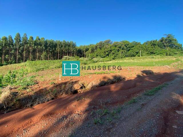 Terreno para Venda em Morro Reuter - 4
