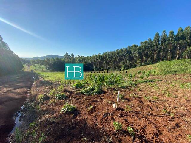 #588 - Terreno para Venda em Morro Reuter - RS - 2