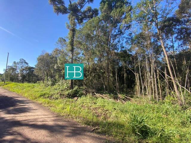 #591 - Área para Venda em Morro Reuter - RS - 1