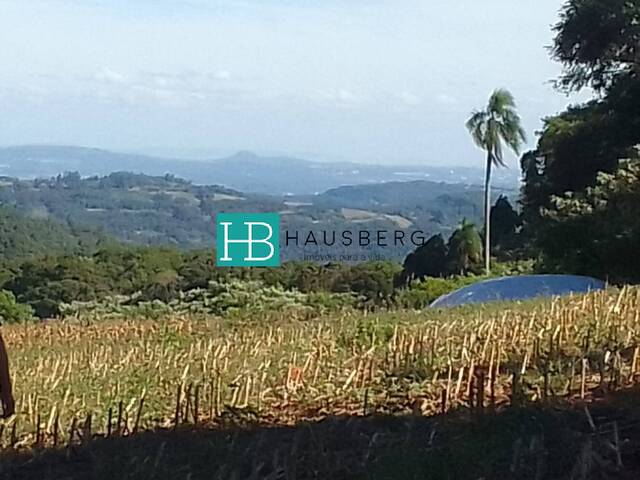 #597 - Chácara para Venda em Morro Reuter - RS - 1