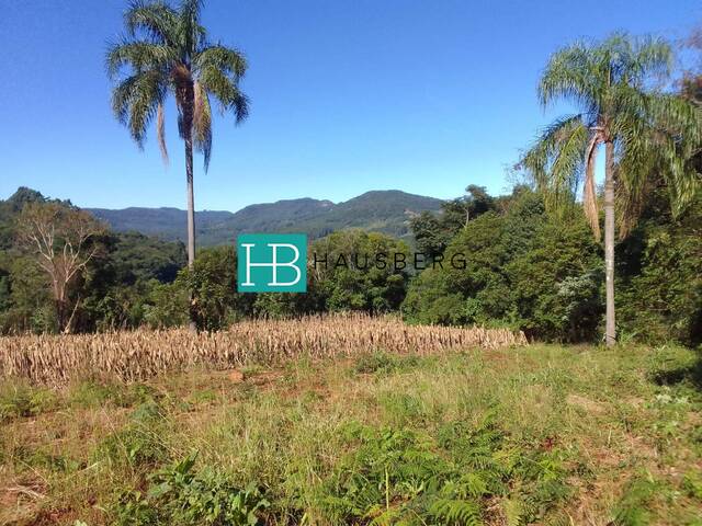 Chácara para Venda em Morro Reuter - 5