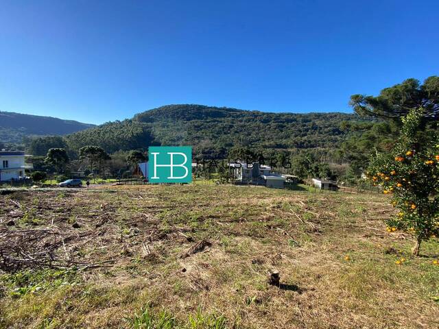 Terreno para Venda em Santa Maria do Herval - 4