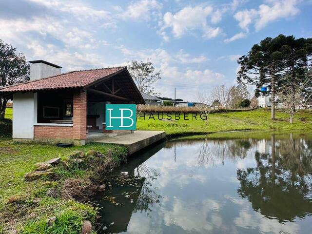 Chácara para Venda em Santa Maria do Herval - 5