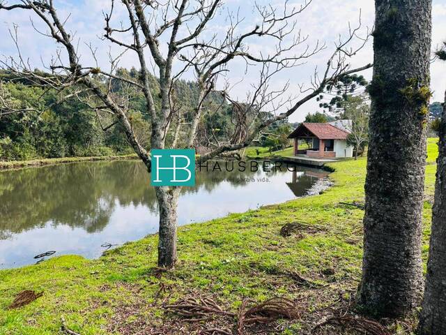 Chácara para Venda em Santa Maria do Herval - 4