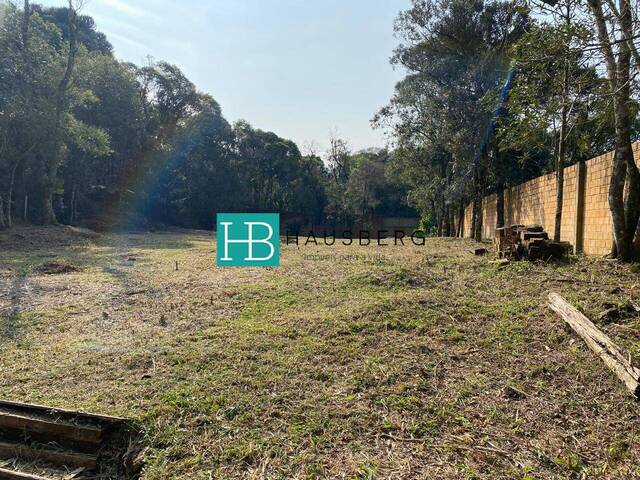 Casa para Venda em Morro Reuter - 5