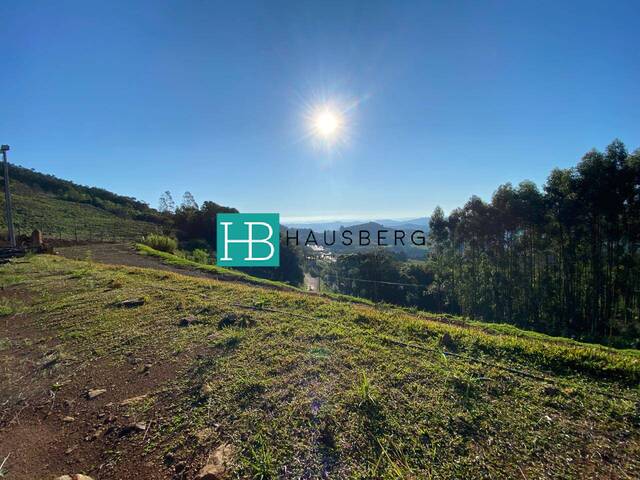 Chácara para Venda em Morro Reuter - 4