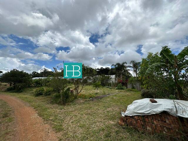 #626 - Terreno para Venda em Morro Reuter - RS - 3