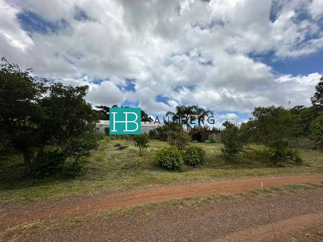 #626 - Terreno para Venda em Morro Reuter - RS - 2