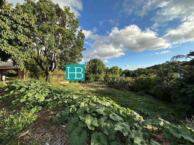 #270 - Terreno para Venda em Morro Reuter - RS - 2
