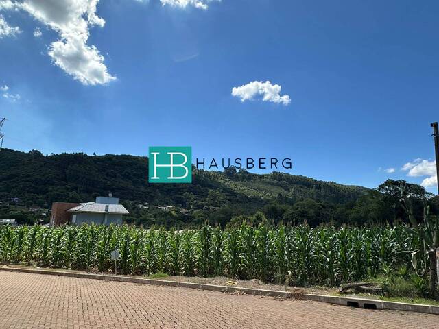 #629 - Terreno para Venda em Morro Reuter - RS - 1