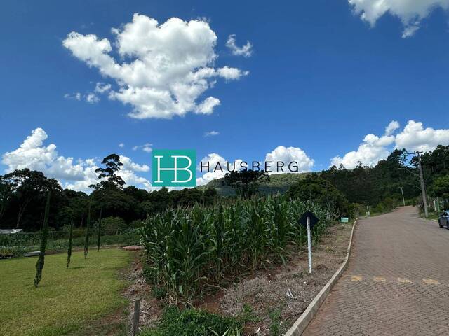 Terreno para Venda em Morro Reuter - 4
