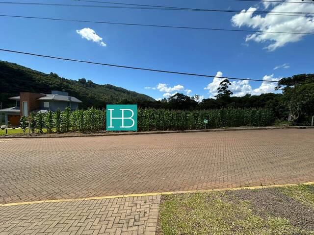 #629 - Terreno para Venda em Morro Reuter - RS - 3