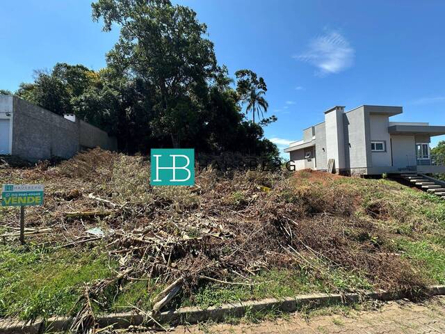 Terreno para Venda em Morro Reuter - 4