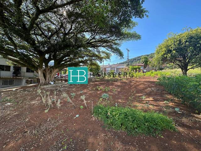 #634 - Terreno para Venda em Morro Reuter - RS - 3