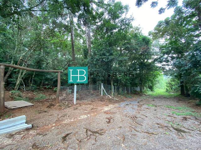 #635 - Terreno para Venda em Morro Reuter - RS - 2