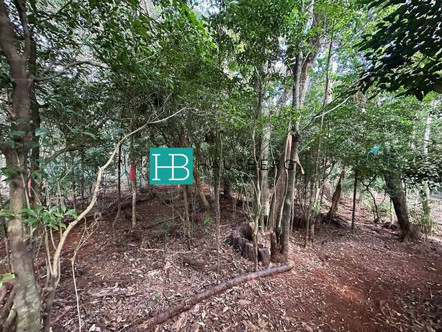 #635 - Terreno para Venda em Morro Reuter - RS - 3