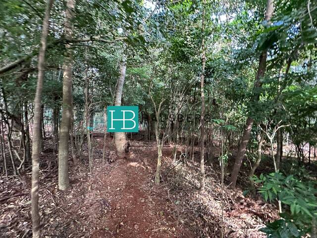 Casa para Venda em Morro Reuter - 5