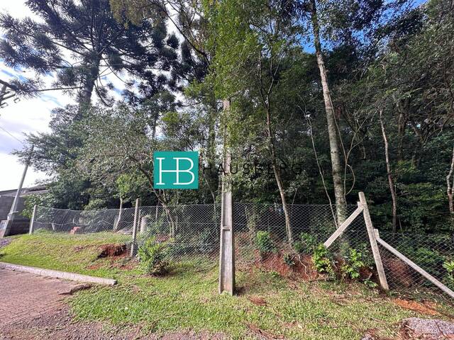 #636 - Casa para Venda em Morro Reuter - RS - 3