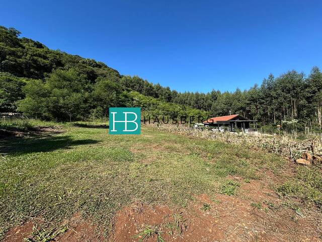 #379 - Terreno para Venda em Morro Reuter - RS - 1