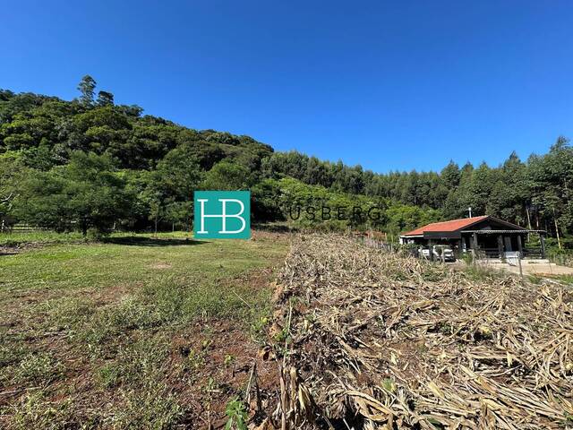 #379 - Terreno para Venda em Morro Reuter - RS - 2