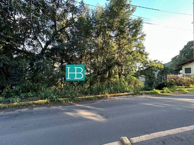 #650 - Terreno para Venda em Morro Reuter - RS - 1