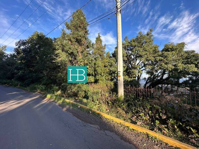#650 - Terreno para Venda em Morro Reuter - RS - 3