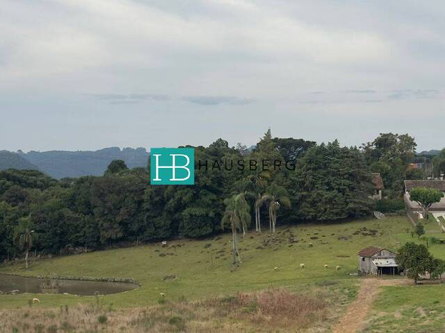 #652 - Terreno para Venda em Santa Maria do Herval - RS - 2