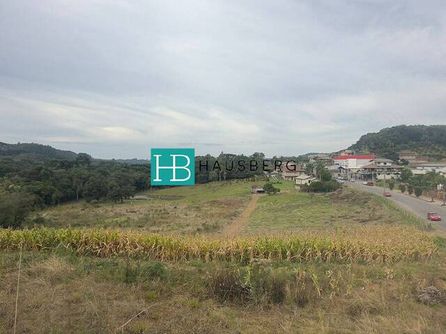 #652 - Terreno para Venda em Santa Maria do Herval - RS - 3