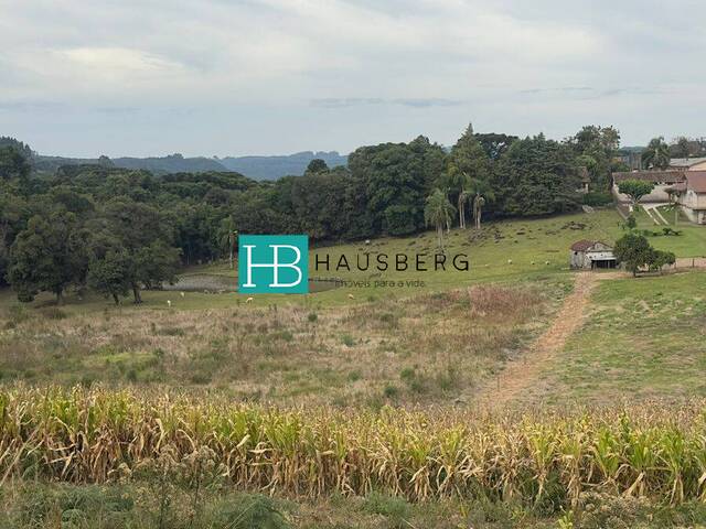 Terreno para Venda em Santa Maria do Herval - 4