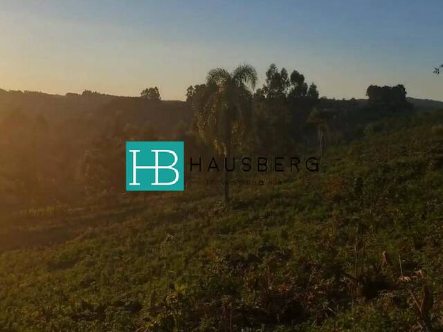 Chácara para Venda em Santa Maria do Herval - 4