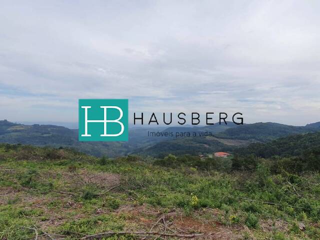 #655 - Chácara para Venda em Morro Reuter - RS - 1
